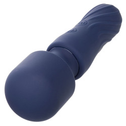 Calexotics - Charisma Charm Masseur 12 Fonctions Violet